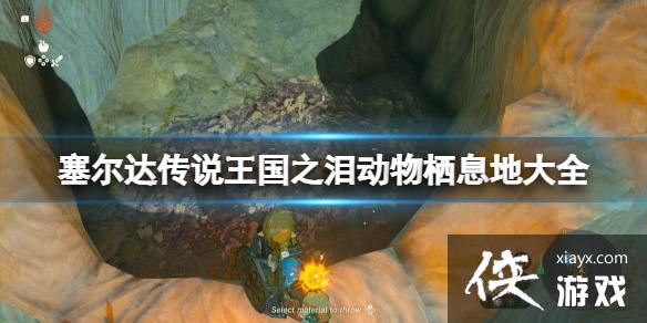 《塞尔达传说王国之泪》动物栖息地大全 全动物图鉴一览 《塞尔达传说王国之泪》动物栖息地大全 全动物图鉴一览