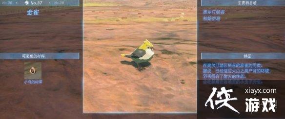 《塞尔达传说王国之泪》动物栖息地大全 全动物图鉴一览 《塞尔达传说王国之泪》动物栖息地大全 全动物图鉴一览