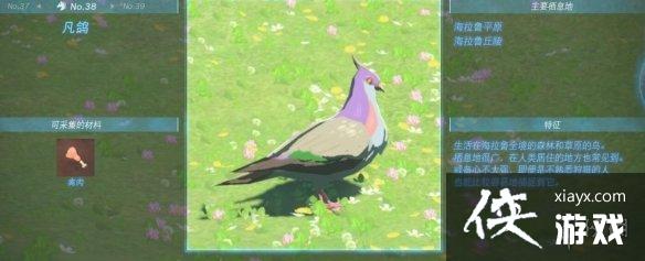 《塞尔达传说王国之泪》动物栖息地大全 全动物图鉴一览 《塞尔达传说王国之泪》动物栖息地大全 全动物图鉴一览