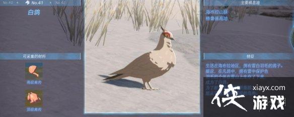 《塞尔达传说王国之泪》动物栖息地大全 全动物图鉴一览 《塞尔达传说王国之泪》动物栖息地大全 全动物图鉴一览