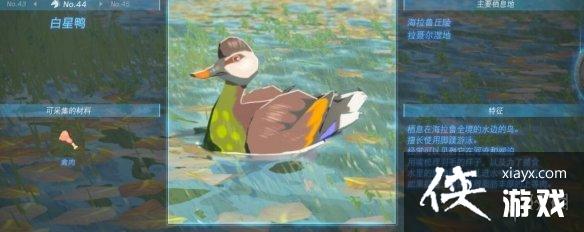 《塞尔达传说王国之泪》动物栖息地大全 全动物图鉴一览 《塞尔达传说王国之泪》动物栖息地大全 全动物图鉴一览