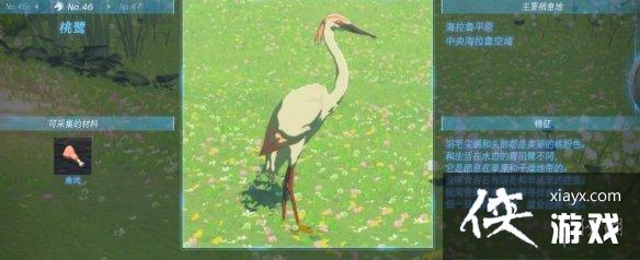 《塞尔达传说王国之泪》动物栖息地大全 全动物图鉴一览 《塞尔达传说王国之泪》动物栖息地大全 全动物图鉴一览