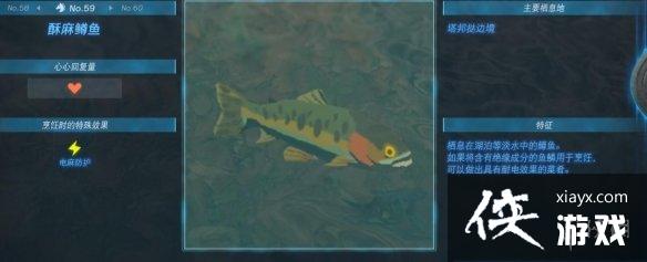 《塞尔达传说王国之泪》动物栖息地大全 全动物图鉴一览 《塞尔达传说王国之泪》动物栖息地大全 全动物图鉴一览