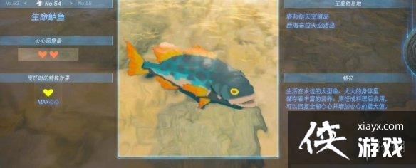 《塞尔达传说王国之泪》动物栖息地大全 全动物图鉴一览 《塞尔达传说王国之泪》动物栖息地大全 全动物图鉴一览