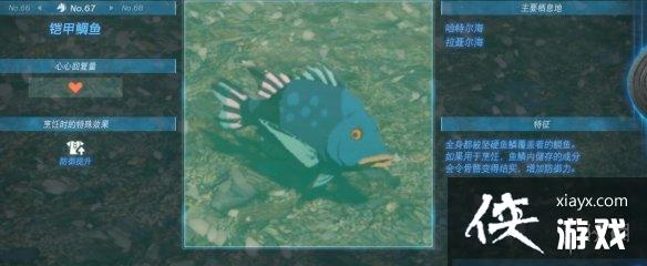 《塞尔达传说王国之泪》动物栖息地大全 全动物图鉴一览 《塞尔达传说王国之泪》动物栖息地大全 全动物图鉴一览