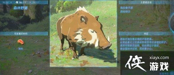 《塞尔达传说王国之泪》动物栖息地大全 全动物图鉴一览 《塞尔达传说王国之泪》动物栖息地大全 全动物图鉴一览