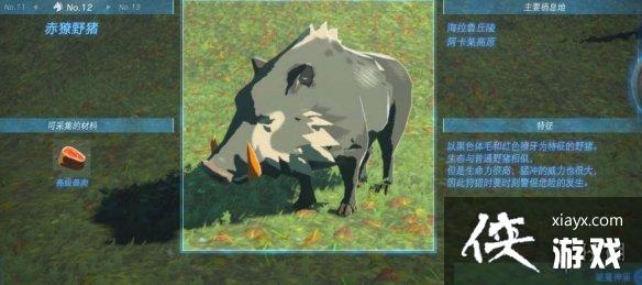 《塞尔达传说王国之泪》动物栖息地大全 全动物图鉴一览 《塞尔达传说王国之泪》动物栖息地大全 全动物图鉴一览