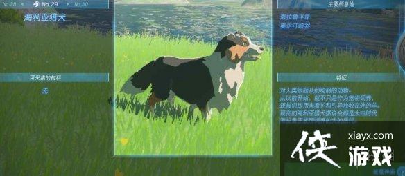 《塞尔达传说王国之泪》动物栖息地大全 全动物图鉴一览 《塞尔达传说王国之泪》动物栖息地大全 全动物图鉴一览