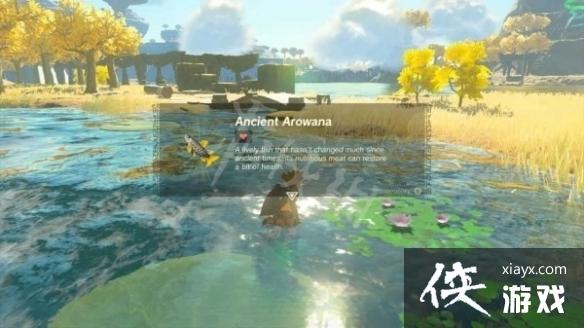 �������ﴫ˵����֮�ᡷԶ����������Ƭλ��һ�� ��ô�޸�׿�����ף�