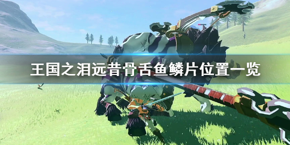 �������ﴫ˵����֮�ᡷԶ����������Ƭλ��һ�� ��ô�޸�׿�����ף�