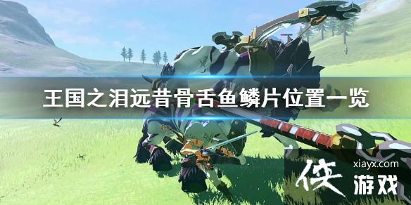 �������ﴫ˵����֮�ᡷԶ����������Ƭλ��һ�� ��ô�޸�׿�����ף�