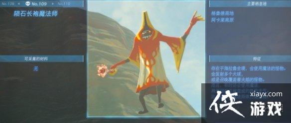 《塞尔达传说王国之泪》怪物图鉴大全 怪物掉落材料及位置汇总 《塞尔达传说王国之泪》怪物图鉴大全 怪物掉落材料及位置汇总