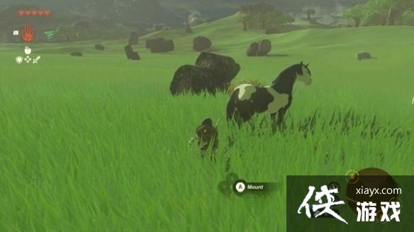 《塞尔达传说王国之泪》马匹位置分享 怎么抓马? 《塞尔达传说王国之泪》马匹位置分享 怎么抓马?