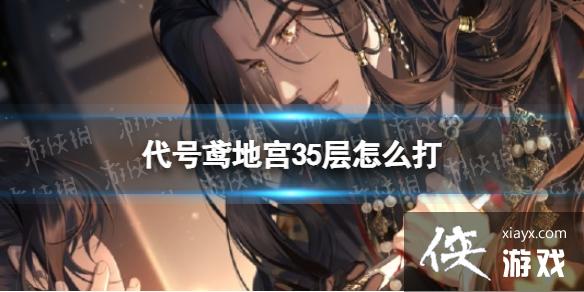 代号鸢地宫35层怎么打 代号鸢地宫35层怎么打