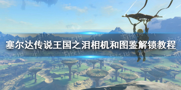 �������ﴫ˵����֮�ᡷ�����ô������ �����ͼ�������̳�