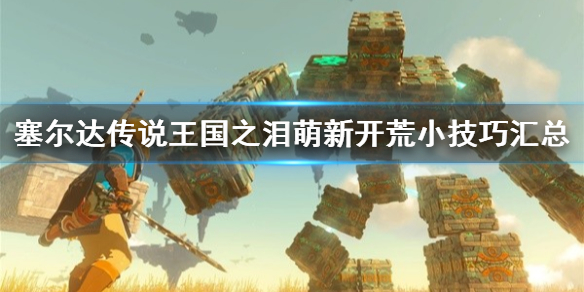 �������ﴫ˵����֮�ᡷ���¿���С���ɻ���  ��ʲôС���ɣ�