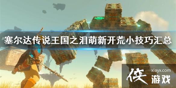 �������ﴫ˵����֮�ᡷ���¿���С���ɻ���  ��ʲôС���ɣ�