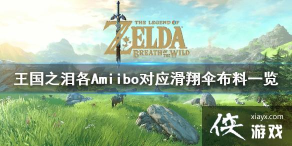 �������ﴫ˵����֮�ᡷ��Amiibo��Ӧ����ɡ����һ�� ����ɡ������ô���?