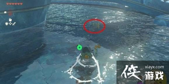 《塞尔达传说王国之泪》远昔骨舌鱼鳞片怎么获得?远昔骨舌鱼鳞片位置大全 《塞尔达传说王国之泪》远昔骨舌鱼鳞片怎么获得?远昔骨舌鱼鳞片位置大全