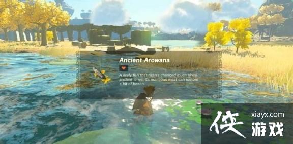 《塞尔达传说王国之泪》远昔骨舌鱼鳞片怎么获得?远昔骨舌鱼鳞片位置大全 《塞尔达传说王国之泪》远昔骨舌鱼鳞片怎么获得?远昔骨舌鱼鳞片位置大全