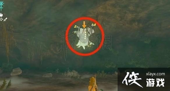 《塞尔达传说王国之泪》魔犹伊的遗失物获取教程 遗失物怎么获取? 《塞尔达传说王国之泪》魔犹伊的遗失物获取教程 遗失物怎么获取?