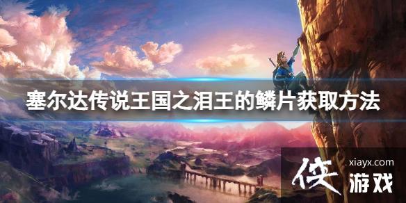 《塞尔达传说王国之泪》王的鳞片怎么获得?王的鳞片获取方法 《塞尔达传说王国之泪》王的鳞片怎么获得?王的鳞片获取方法