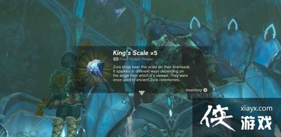 《塞尔达传说王国之泪》王的鳞片怎么获得?王的鳞片获取方法 《塞尔达传说王国之泪》王的鳞片怎么获得?王的鳞片获取方法