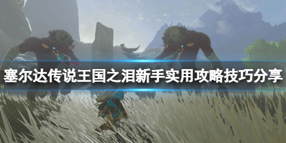 �������ﴫ˵����֮�ᡷ��������ô��װ������ʵ�ù��Լ��ɷ���