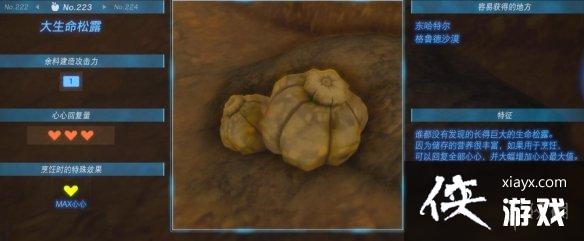 �������ﴫ˵����֮�ᡷĢ�������У�Ģ��Ч����λ�õ�ֲ�