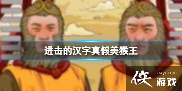 �����ĺ������������