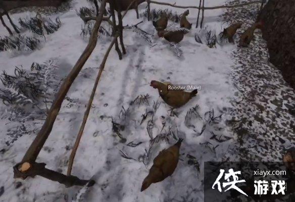 《中世纪王朝》赚钱攻略 《中世纪王朝》赚钱攻略