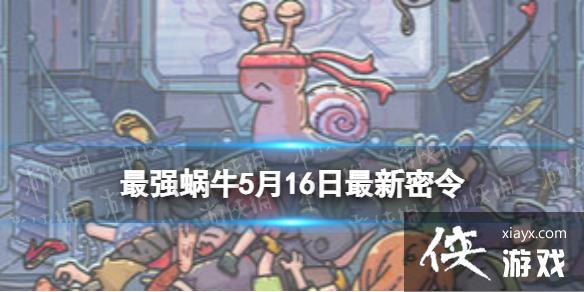 最强蜗牛5月16日最新密令 最强蜗牛5月16日最新密令