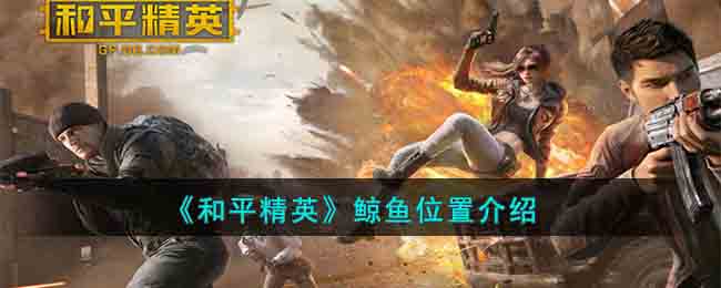 ����ƽ��Ӣ������λ�ý���