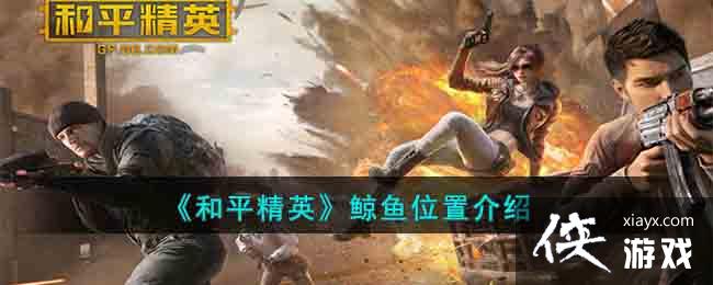 ����ƽ��Ӣ������λ�ý���