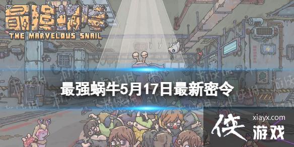 ��ǿ��ţ5��17����������