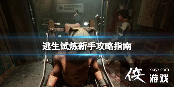 ���������������ֹ���ָ�� �����۸����Ǯ��