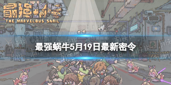 ��ǿ��ţ5��19����������