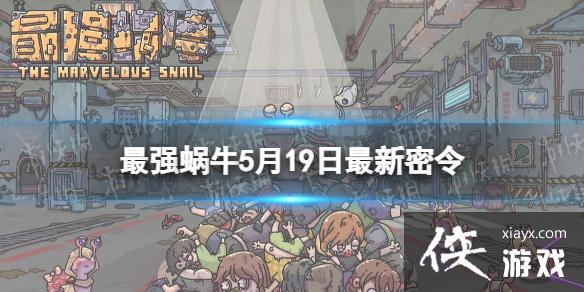 ��ǿ��ţ5��19����������