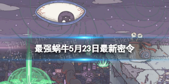 ��ǿ��ţ5��23����������