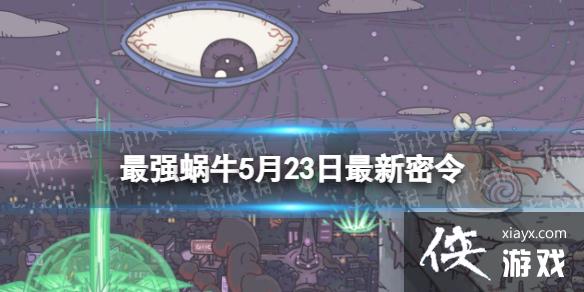 ��ǿ��ţ5��23����������