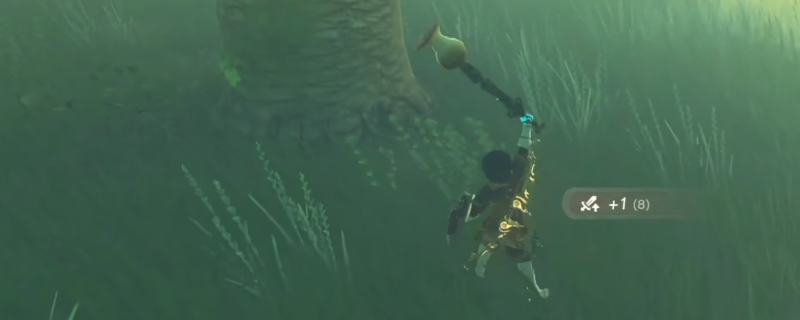 �����ﴫ˵����֮�������ָ���Ķ���������������