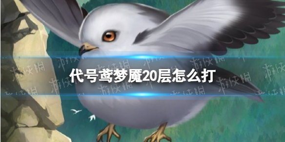 ���������20����ô��