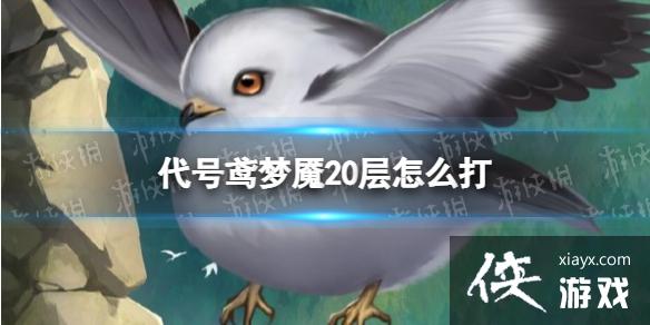 ���������20����ô��