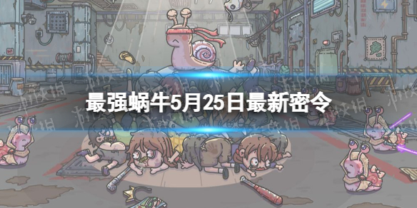 ��ǿ��ţ5��25����������