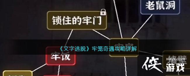 ���������ѡ����������������