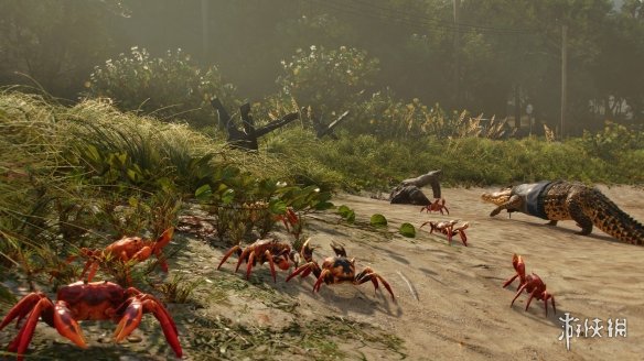 ���µ�����6���׸Ƕ��ѱ�ԭ�����