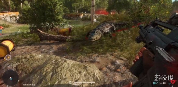 ���µ�����6�������