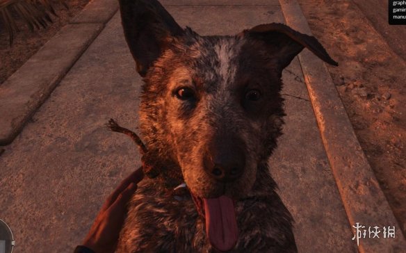 ���µ�����6�����ﹷ��Ƿ���