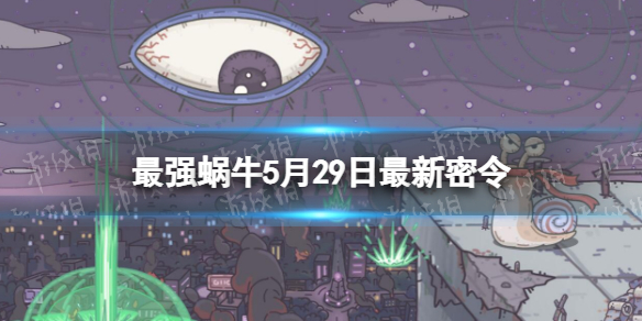 ��ǿ��ţ5��29����������