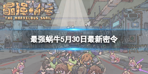 ��ǿ��ţ5��30����������